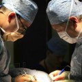 Por qué España es líder mundial de trasplantes