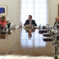 Biólogos españoles logran reproducir un Consejo de Ministros solo con amebas