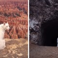 Fotografías de un hombre viajando con su perro durante 2 años por EEUU