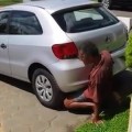 Video de un hombre foll*ndo el tubo de escape de un coche [NSFW]