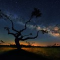 "El árbol de la galaxia" en Salamanca, foto astronómica del día (ING)