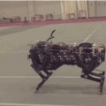 El guepardo robot del MIT ya corre y salta obstáculos al mismo tiempo