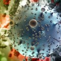 Un solo análisis revela el historial de virus a los que ha estado expuesta una persona