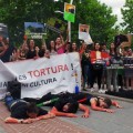 La primera concentración antitaurina que se hace oír en Granada