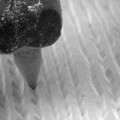 El fascinante proceso de reproducir un vinilo, visto al microscopio