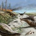 ¿Por qué no vivían grandes dinosaurios en los trópicos? (ING)