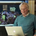 Richard Dawkins denuncia el modo frenético y enloquecido con el que se ha atacado a Tim Hunt [ENG]