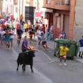 El nuevo equipo de gobierno de Alzira elimina los bous al carrer del calendario festivo  (VAL)