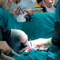 El funcionamiento de la anestesia continúa siendo un misterio