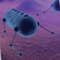 Nanobots para curar el cáncer; primeras pruebas en humanos