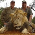 Al león Cecil lo mató un dentista estadounidense [Eng]