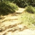 Dos imputados por la muerte del ciclista que tropezó con un cable electrificado (Cantabria) [Vídeo]
