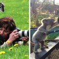 Animales fotógrafos