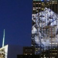 El Empire State se cubre de imágenes de animales en peligro de extinción