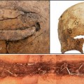 Evidencias de otra brutal masacre en el Neolítico