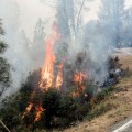 No hay suficientes bomberos para parar los incendios [forestales] en el Oeste Americano [ENG]