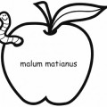 La manzana, una marca comercial que pasó a designar a la fruta