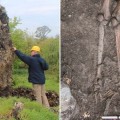 Un antiguo árbol es derribado por una tormenta en Irlanda y entre sus raíces descubren un esqueleto medieval