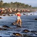 Cientos de turistas impiden a tortugas marinas desovar en una reserva natural de Costa Rica [Eng]