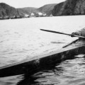 De cómo los inuits se adaptaron a comer ballenas