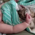 Gatito y bebé despertando de la siesta