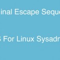 Secuencias de escape en el terminal, el nuevo XSS para administradores de Linux [ENG]