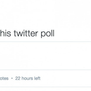 Se acabó utilizar FAV y RT para ello: Twitter ya prepara un sistema nativo de encuestas