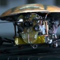 Científicos rusos diseñan una cucaracha robot para localizar vidas humanas tras un terremoto [Ru]