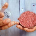 Carne artificial. ¿Una solución para alimentar la humanidad?