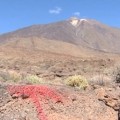 Descalificado por pintar señales con un spray en el Parque Nacional del Teide