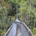 Momento exacto en que colapsa un puente con turistas en Nueva Zelanda