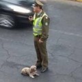 Un policía obliga a un taxista a llevar al veterinario al perro que atropelló