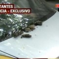 La alarma sonó 36 horas y los vecinos le destruyeron el coche