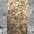 La NASA publica hoy, imágenes de enormes patrones de 8.000 años de antigüedad en Kazajistán
