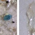 Encontrados pedazos microscópicos de plástico en la sal de mesa china