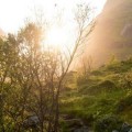 Cómo logró Noruega salvar sus bosques cuando estaban a punto de desaparecer