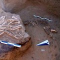 Descubierto en Siberia ahumadero de pescado de hace 5000 años con restos de animales foráneos