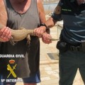 Capturado en España un ‘monstruo de gila’, lagarto venenoso del desierto norteamericano