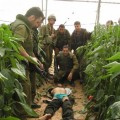 Confesiones de un soldado israelí: “Tratamos a los palestinos como animales