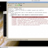 Mi primer debug. Primeros pasos con gdb, Valgrind y strace