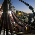 Una corporación china comprará la tercera envasadora de atún y bonito de España por 48 millones