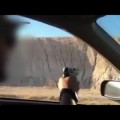 Militares israelíes disparan a un camello por diversión