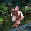 La salamandra gigante: mide como un humano y desprende un olor a pimienta ...si se siente amenazada
