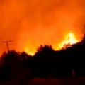 Los incendios del norte de España han sido provocados por ganaderos y cazadores