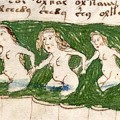Códice Voynich: el manuscrito cifrado que nadie ha podido resolver en 600 años será copiado en Burgos