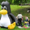 Linux está en todas partes: 24 horas con el pingüino