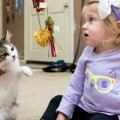 Niña con un brazo amputado adopta una gatita con tres patas (ENG)