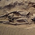 Una masacre prehistórica amplía la historia de la guerra a 10.000 años