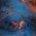 Estrellas y globulos en la nebulosa del Pollo Corredor [eng]