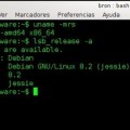 Debian Linux 8.3 ya está disponible, descubre cómo actualizar desde la versión Debian 8.2